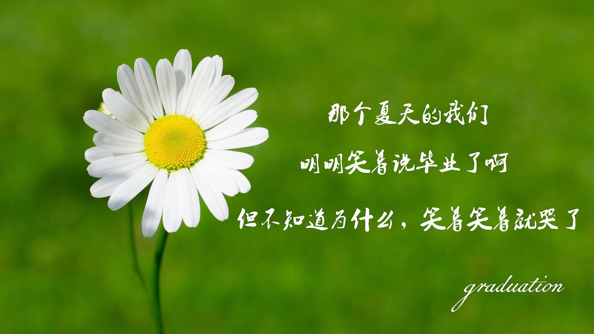 “校园足球特色课程在全国落地，激发青少年的运动热情”，全国校园足球特色学校基本标准(试行)