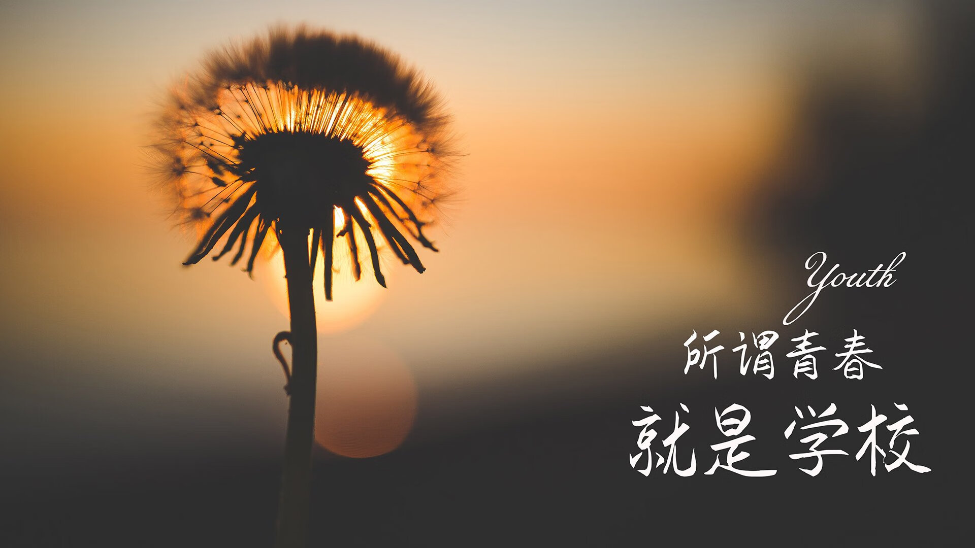 九游下载安装-乡村越野骑行赛，绿色出行新热点，越野骑行生活