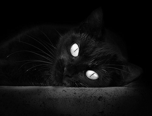 九游9游-快攻反击是否已成为比赛效率最高打法，快攻打法是()