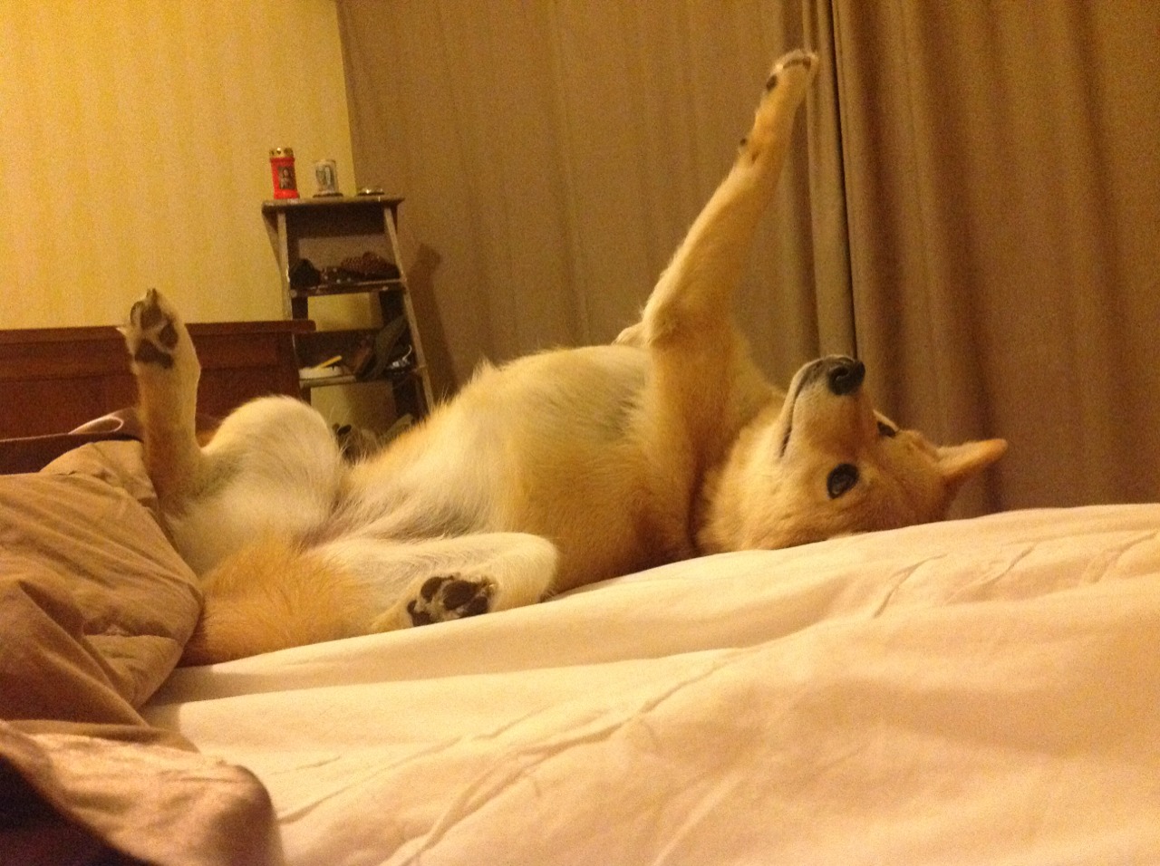 九游游戏中心-法甲球队连战连胜，冠军气息弥漫，法甲联赛球星