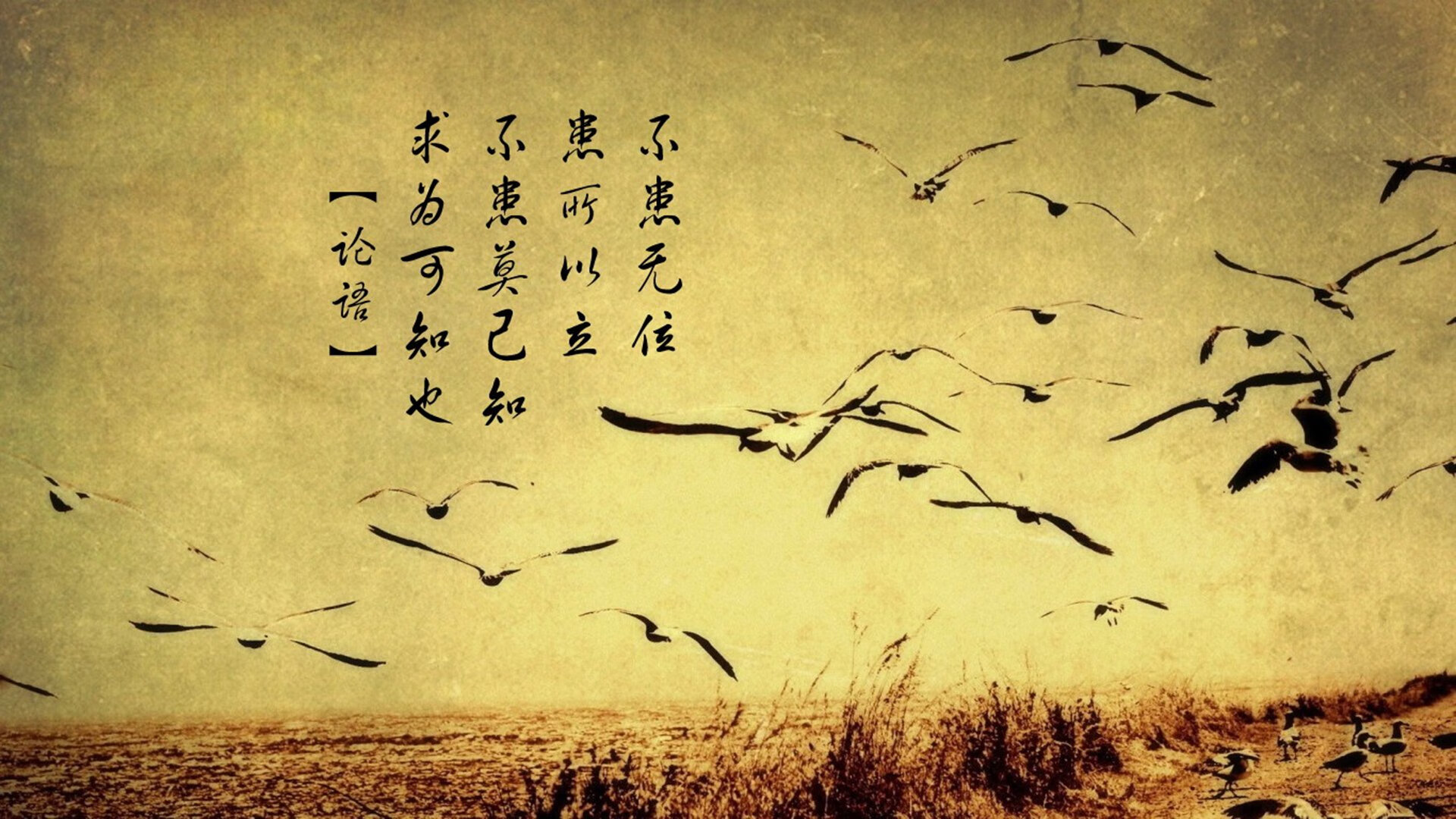 法甲球队连战连胜，冠军气息弥漫，法甲联赛球星