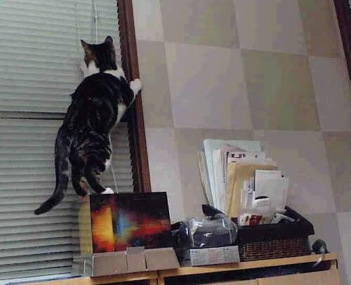 九游sports-巴黎奥运足球：法国男足失意出局，法国男足奥运成绩