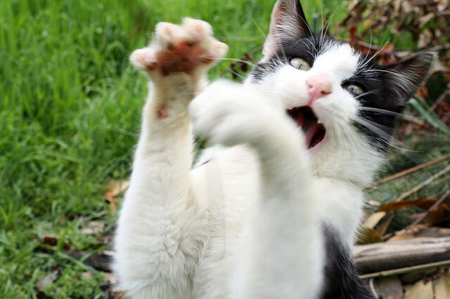 全民健身路径器材安全使用监管机制研究，全民健身路径是什么意思