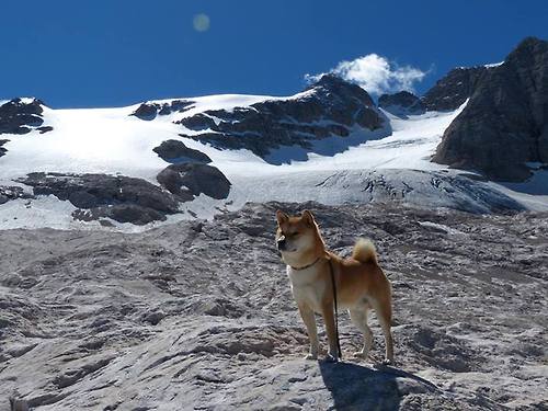 意甲球队通过数据可视化提升球员战术理解速度，意甲跑动数据