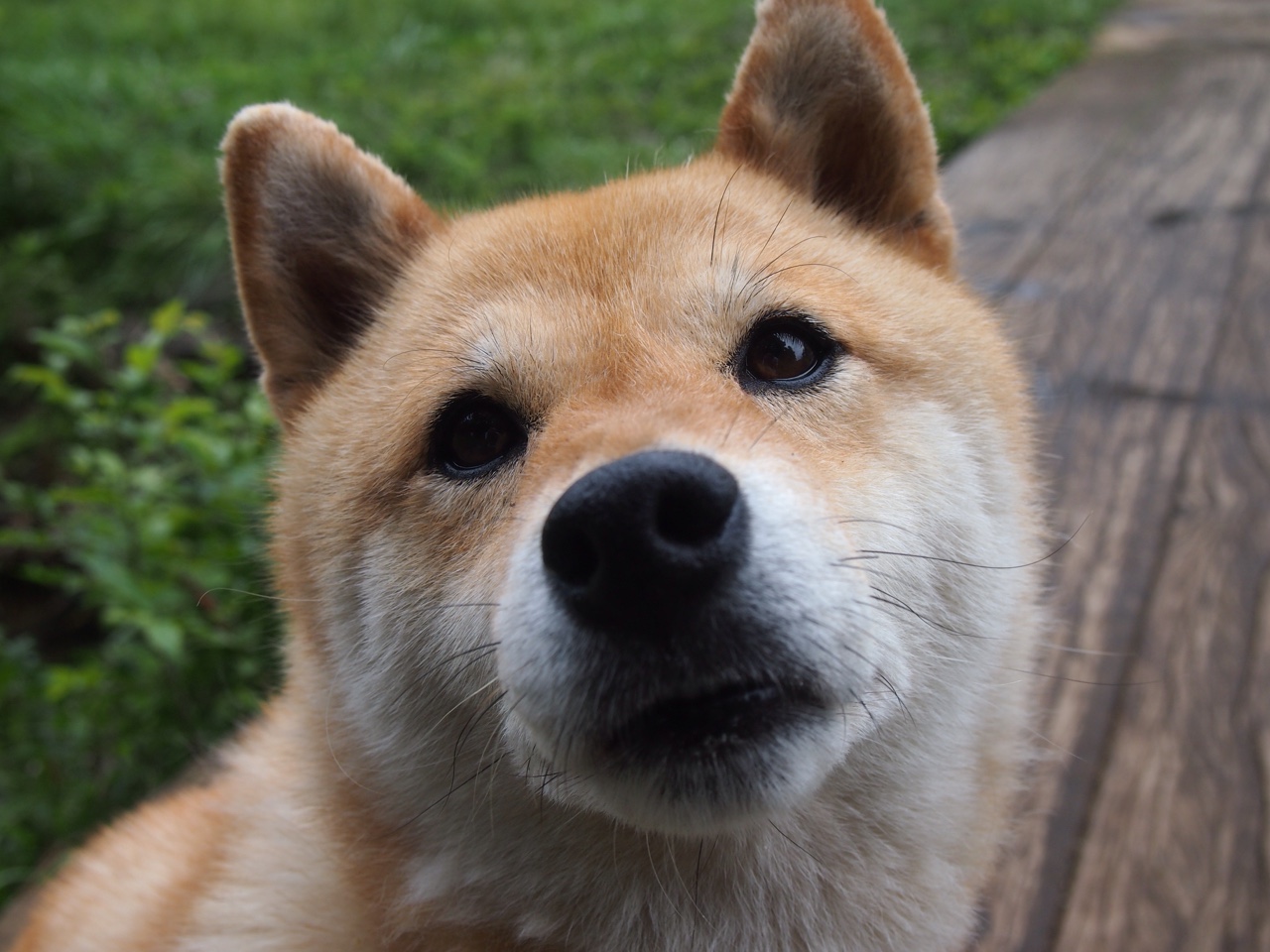 皇马追梦之旅：欧冠四分之一淘汰对决前瞻，皇马四年三欧冠