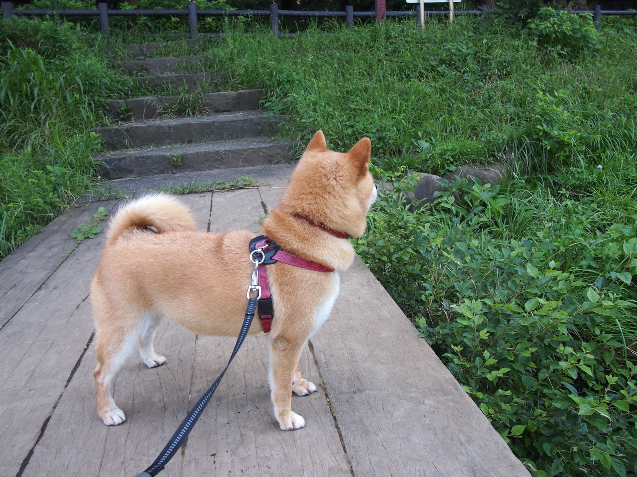 “舞动人生！运动舞蹈让金牛区城北体育馆成为舞者展示实力的绝佳舞台”