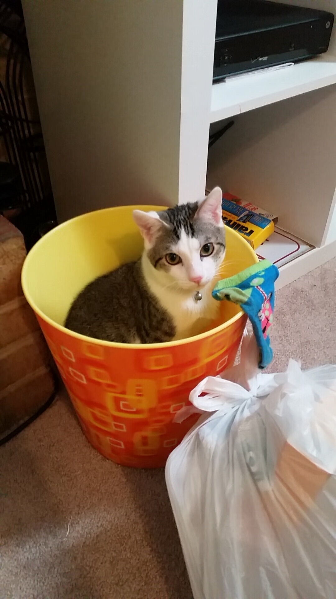 九游娱乐-中国女篮合理轮换保持体能，中国队女篮