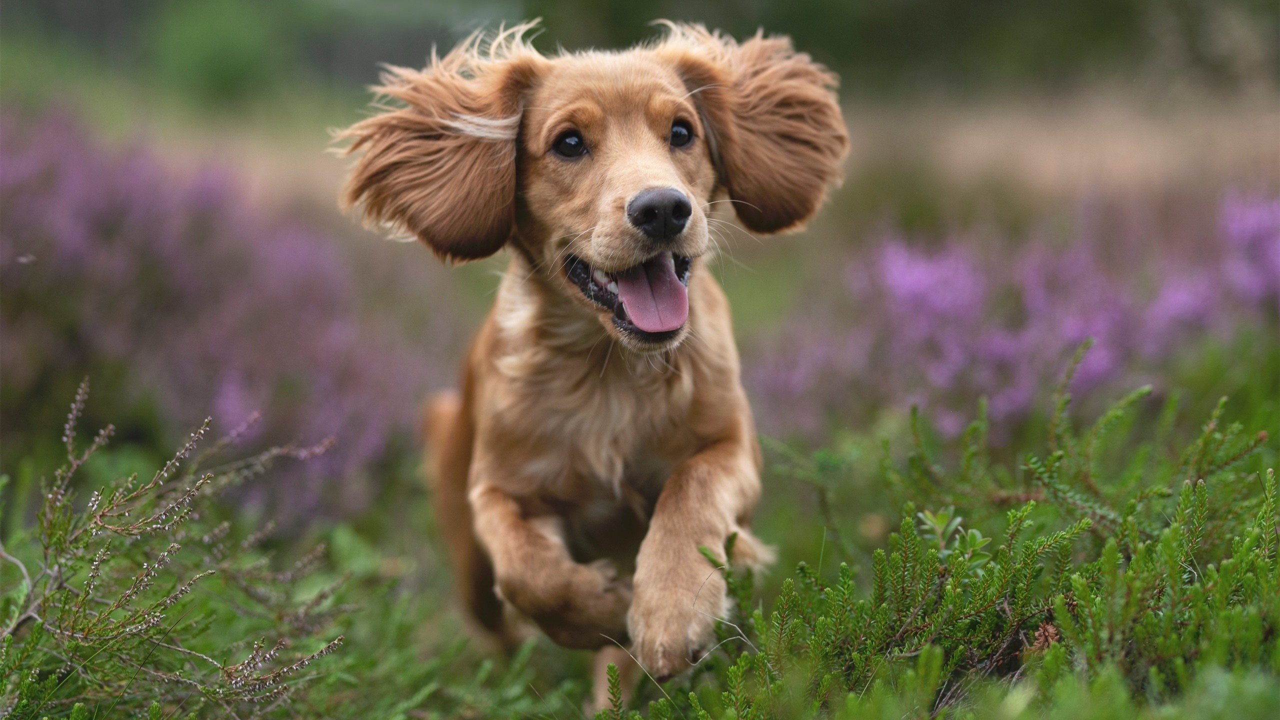 九游app下载中心-国际热身赛中国女足惨败 球迷呼吁提升训练质量，国足热身赛2021