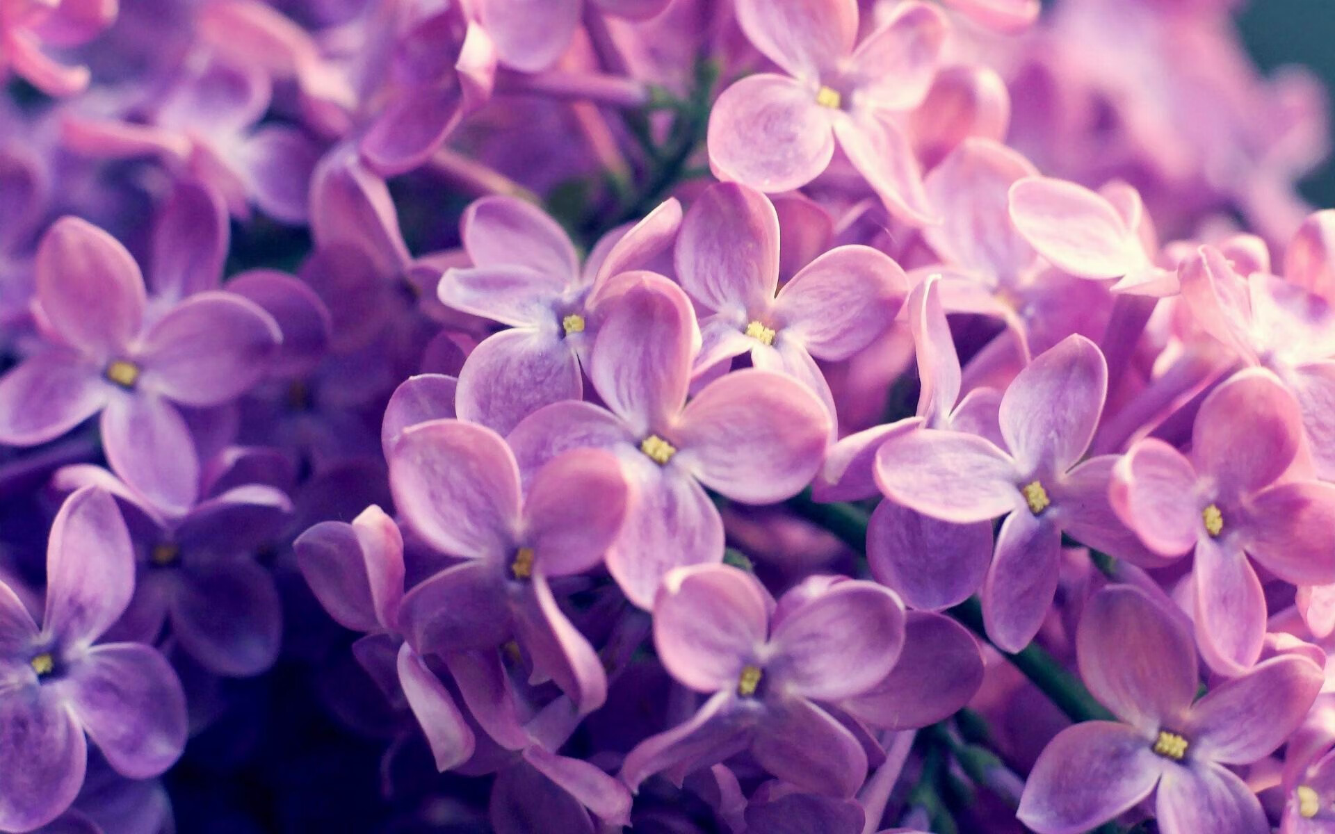 欧洲杯抽签结果深度解析,欧洲杯抽签过98db in