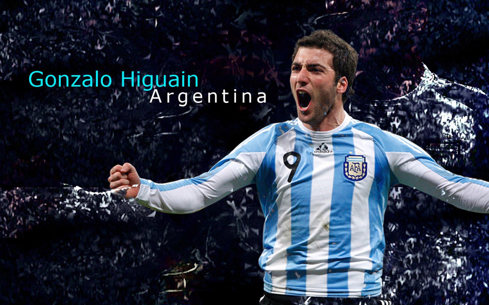 运动员坚持训练的动人故事，运动员坚持训练的例子